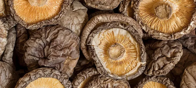 Close-up of dried mushrooms